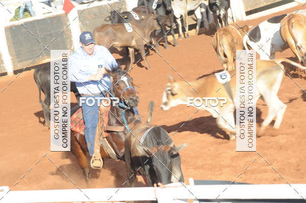 Buy your photos of the eventTEAM PENNING  GRANDE FINAL CAMARU on Fotop