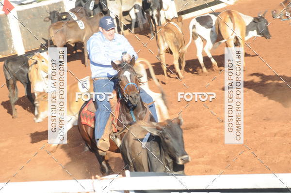 Buy your photos of the eventTEAM PENNING  GRANDE FINAL CAMARU on Fotop