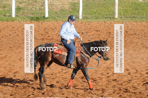Buy your photos of the eventTEAM PENNING  GRANDE FINAL CAMARU on Fotop