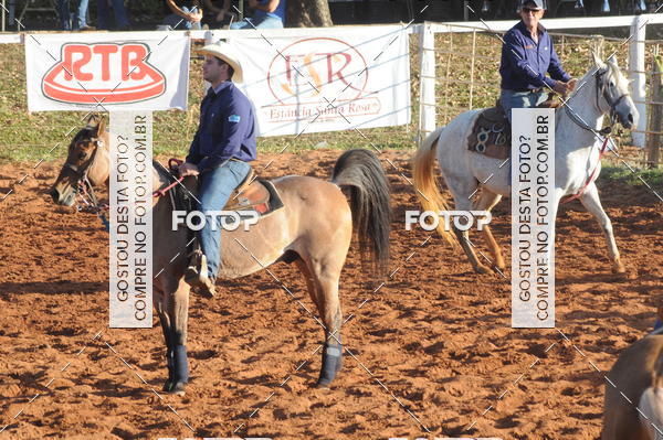 Buy your photos of the eventTEAM PENNING  GRANDE FINAL CAMARU on Fotop