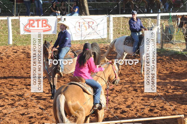 Buy your photos of the eventTEAM PENNING  GRANDE FINAL CAMARU on Fotop