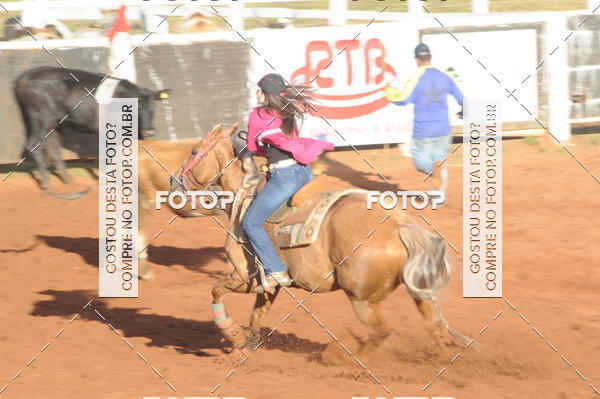 Buy your photos of the eventTEAM PENNING  GRANDE FINAL CAMARU on Fotop