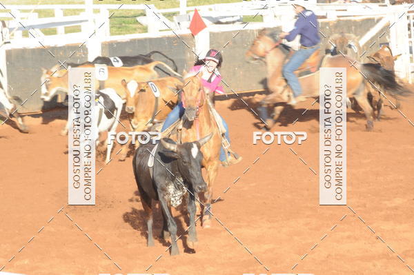 Buy your photos of the eventTEAM PENNING  GRANDE FINAL CAMARU on Fotop