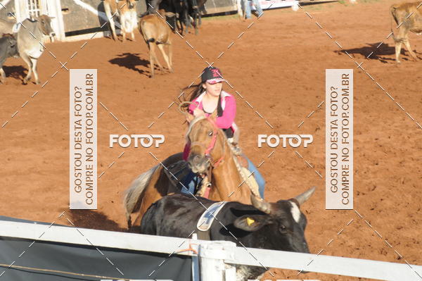Buy your photos of the eventTEAM PENNING  GRANDE FINAL CAMARU on Fotop