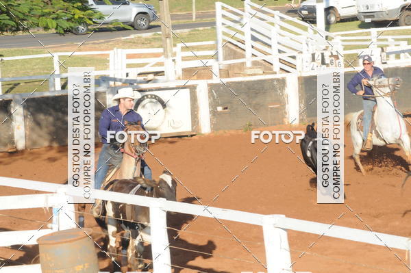 Buy your photos of the eventTEAM PENNING  GRANDE FINAL CAMARU on Fotop