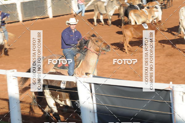 Buy your photos of the eventTEAM PENNING  GRANDE FINAL CAMARU on Fotop