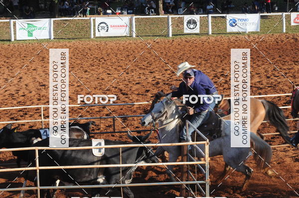 Buy your photos of the eventTEAM PENNING  GRANDE FINAL CAMARU on Fotop