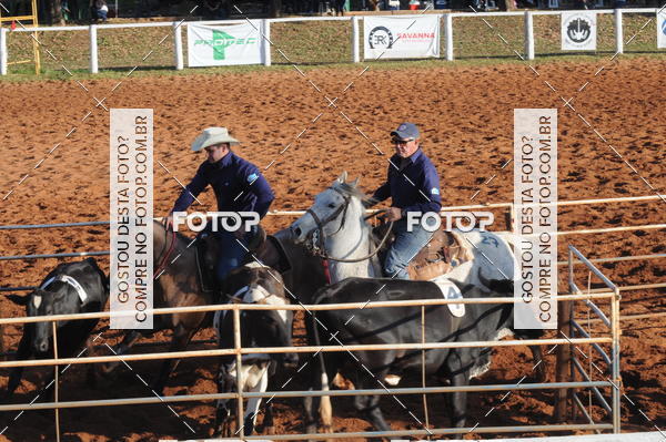 Buy your photos of the eventTEAM PENNING  GRANDE FINAL CAMARU on Fotop