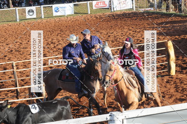 Buy your photos of the eventTEAM PENNING  GRANDE FINAL CAMARU on Fotop