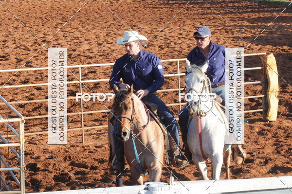 Buy your photos of the eventTEAM PENNING  GRANDE FINAL CAMARU on Fotop