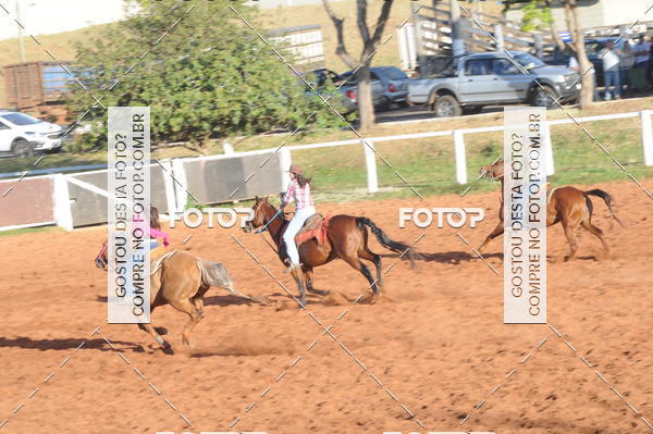 Buy your photos of the eventTEAM PENNING  GRANDE FINAL CAMARU on Fotop