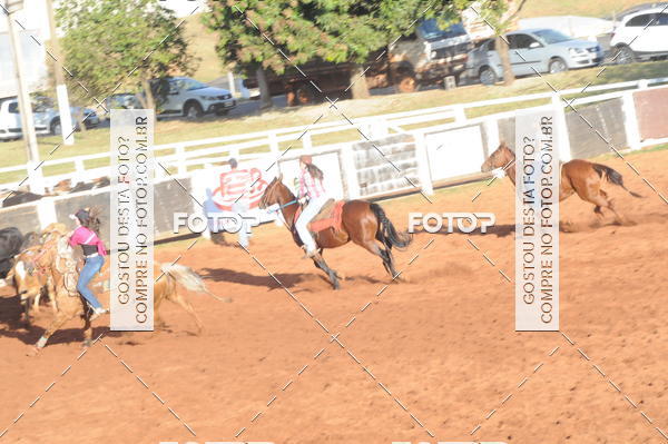 Buy your photos of the eventTEAM PENNING  GRANDE FINAL CAMARU on Fotop