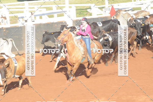 Buy your photos of the eventTEAM PENNING  GRANDE FINAL CAMARU on Fotop