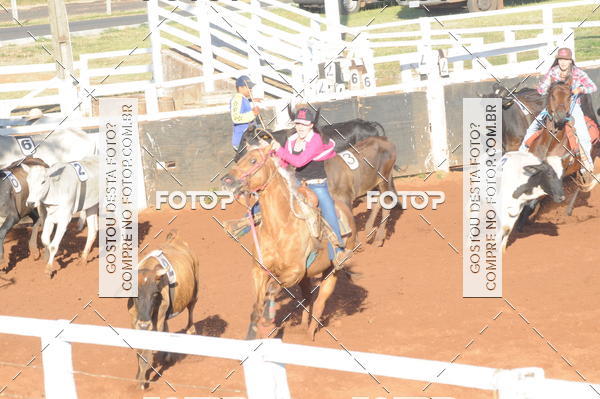 Buy your photos of the eventTEAM PENNING  GRANDE FINAL CAMARU on Fotop