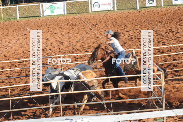 Buy your photos of the eventTEAM PENNING  GRANDE FINAL CAMARU on Fotop