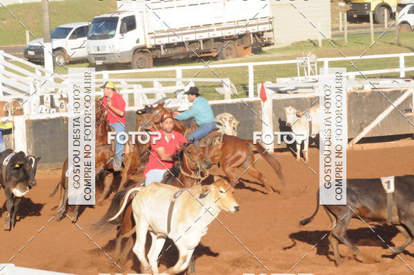 Buy your photos of the eventTEAM PENNING  GRANDE FINAL CAMARU on Fotop