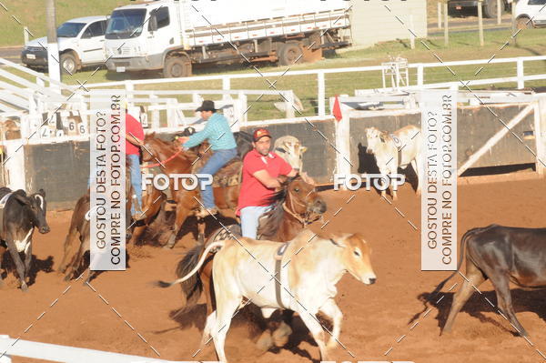 Buy your photos of the eventTEAM PENNING  GRANDE FINAL CAMARU on Fotop