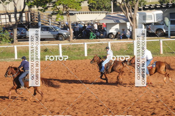Buy your photos of the eventTEAM PENNING  GRANDE FINAL CAMARU on Fotop