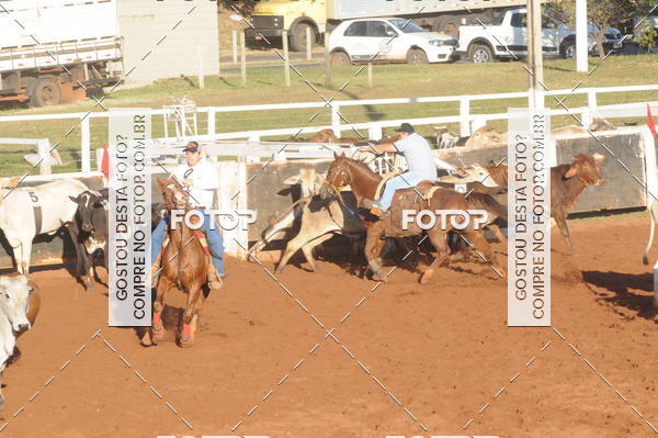 Buy your photos of the eventTEAM PENNING  GRANDE FINAL CAMARU on Fotop