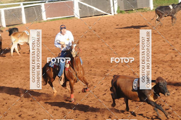 Buy your photos of the eventTEAM PENNING  GRANDE FINAL CAMARU on Fotop