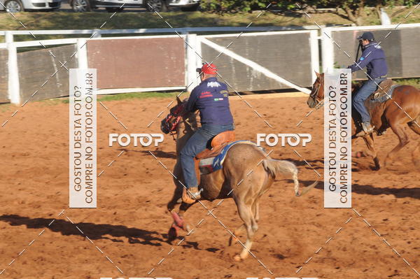 Buy your photos of the eventTEAM PENNING  GRANDE FINAL CAMARU on Fotop