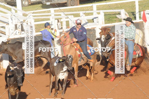 Buy your photos of the eventTEAM PENNING  GRANDE FINAL CAMARU on Fotop
