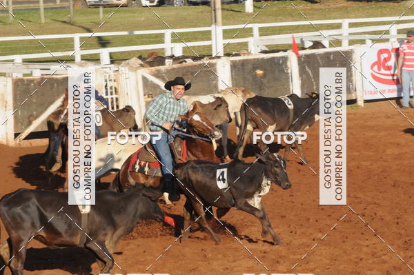 Buy your photos of the eventTEAM PENNING  GRANDE FINAL CAMARU on Fotop