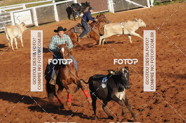 Buy your photos of the eventTEAM PENNING  GRANDE FINAL CAMARU on Fotop