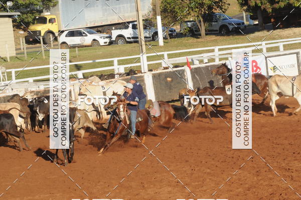 Buy your photos of the eventTEAM PENNING  GRANDE FINAL CAMARU on Fotop