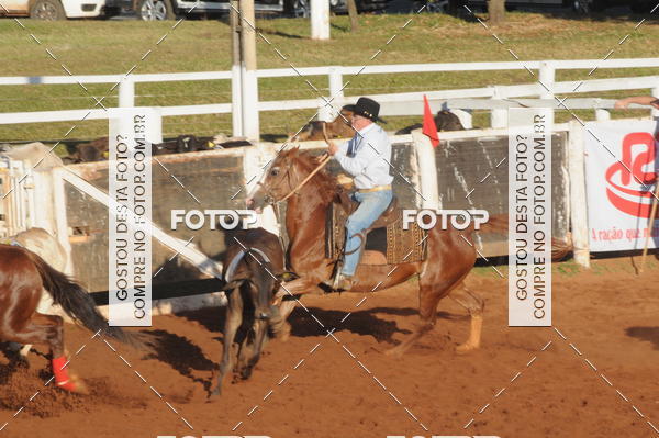 Buy your photos of the eventTEAM PENNING  GRANDE FINAL CAMARU on Fotop