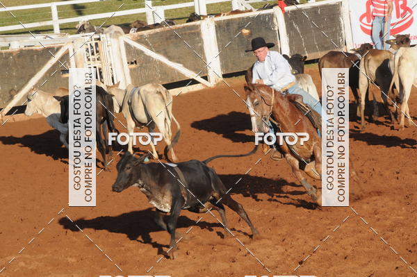 Buy your photos of the eventTEAM PENNING  GRANDE FINAL CAMARU on Fotop