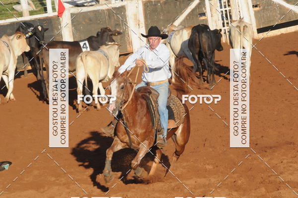 Buy your photos of the eventTEAM PENNING  GRANDE FINAL CAMARU on Fotop