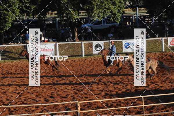 Buy your photos of the eventTEAM PENNING  GRANDE FINAL CAMARU on Fotop