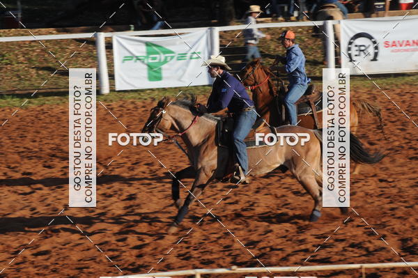 Buy your photos of the eventTEAM PENNING  GRANDE FINAL CAMARU on Fotop