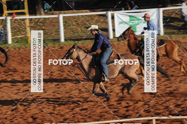 Buy your photos of the eventTEAM PENNING  GRANDE FINAL CAMARU on Fotop
