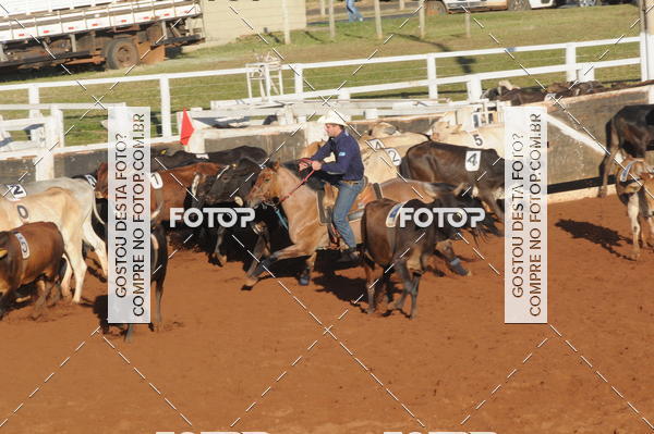 Buy your photos of the eventTEAM PENNING  GRANDE FINAL CAMARU on Fotop