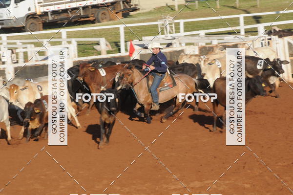 Buy your photos of the eventTEAM PENNING  GRANDE FINAL CAMARU on Fotop