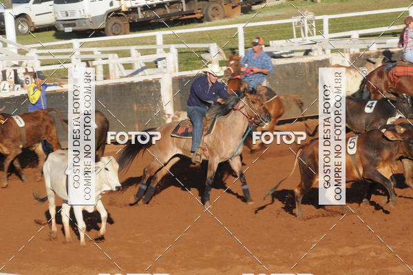 Buy your photos of the eventTEAM PENNING  GRANDE FINAL CAMARU on Fotop