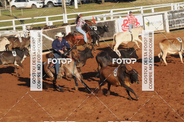 Buy your photos of the eventTEAM PENNING  GRANDE FINAL CAMARU on Fotop
