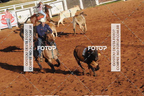 Buy your photos of the eventTEAM PENNING  GRANDE FINAL CAMARU on Fotop