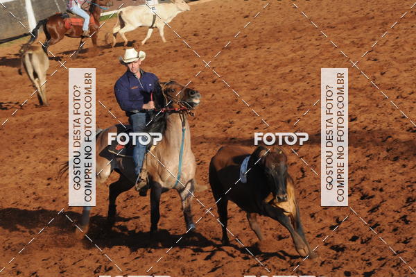 Buy your photos of the eventTEAM PENNING  GRANDE FINAL CAMARU on Fotop