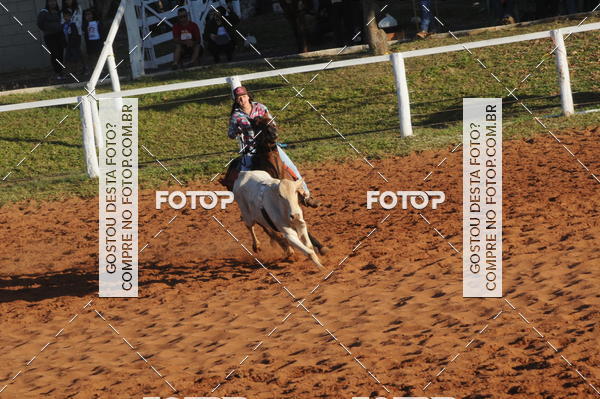 Buy your photos of the eventTEAM PENNING  GRANDE FINAL CAMARU on Fotop