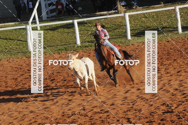Buy your photos of the eventTEAM PENNING  GRANDE FINAL CAMARU on Fotop