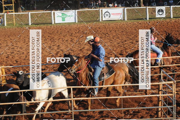 Buy your photos of the eventTEAM PENNING  GRANDE FINAL CAMARU on Fotop
