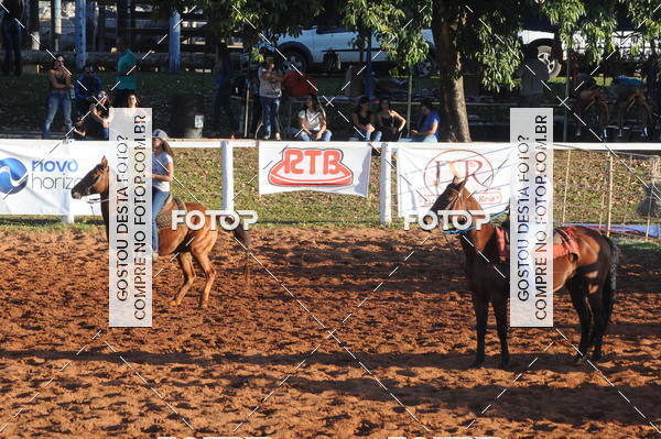 Buy your photos of the eventTEAM PENNING  GRANDE FINAL CAMARU on Fotop
