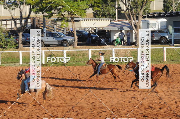 Buy your photos of the eventTEAM PENNING  GRANDE FINAL CAMARU on Fotop