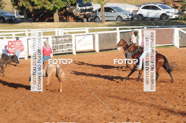 Buy your photos of the eventTEAM PENNING  GRANDE FINAL CAMARU on Fotop