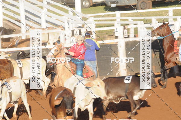 Buy your photos of the eventTEAM PENNING  GRANDE FINAL CAMARU on Fotop
