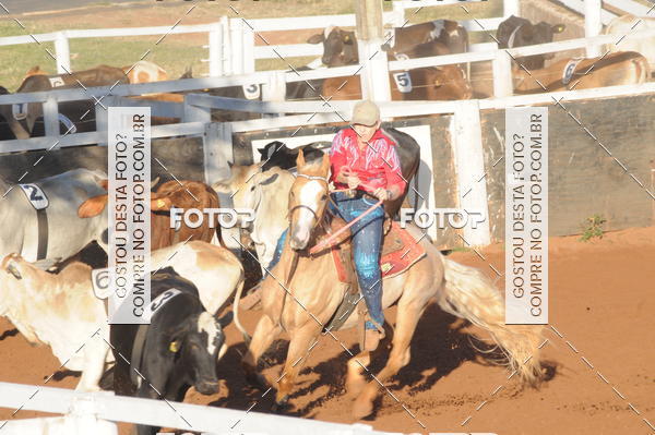 Buy your photos of the eventTEAM PENNING  GRANDE FINAL CAMARU on Fotop