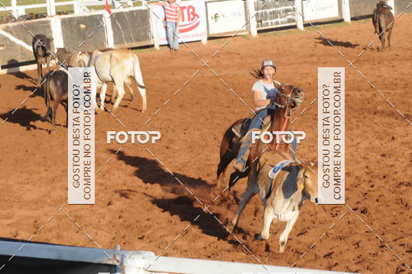 Buy your photos of the eventTEAM PENNING  GRANDE FINAL CAMARU on Fotop